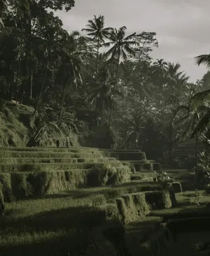 Penglipuran Gezisi