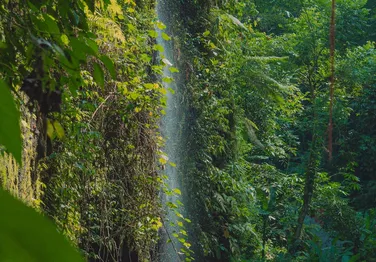 Ubud Doğa Paketi