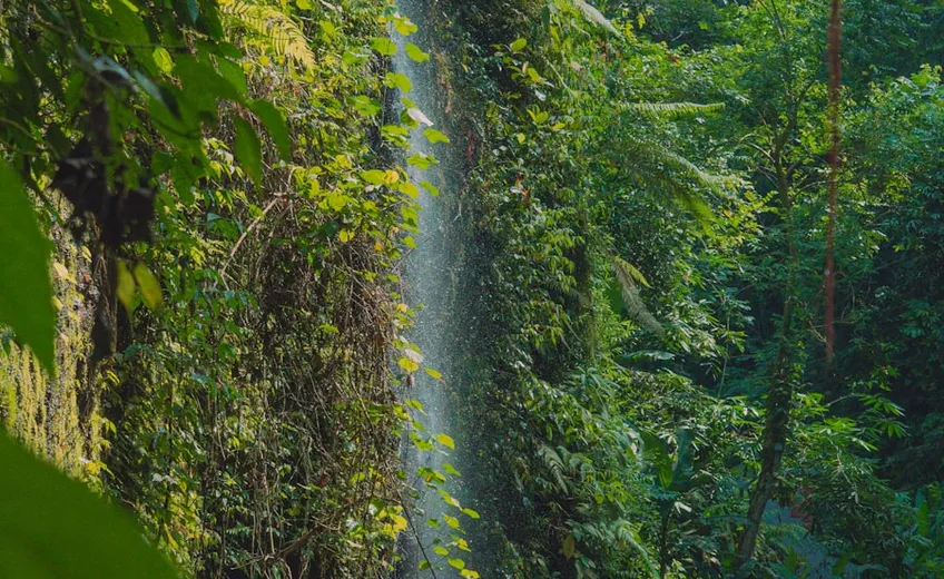 Ubud Doğa Paketi