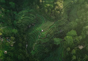 Mario Cart Bali